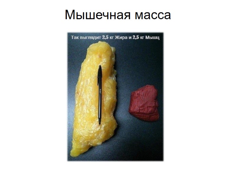 Мышечная масса
